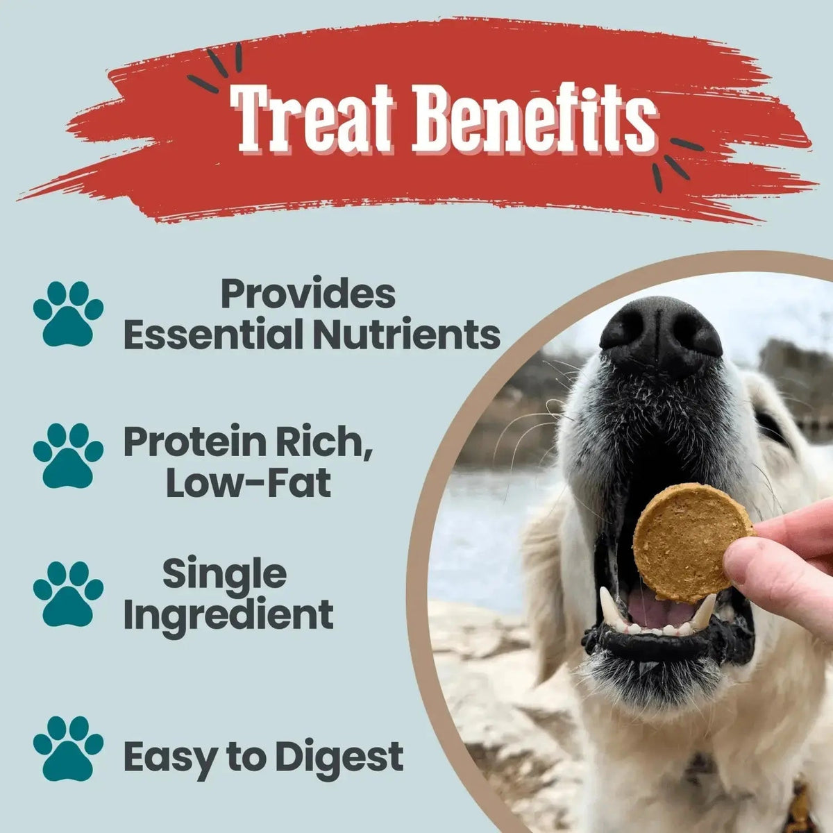 Fish Dog Treats | Wild-Caught Fish Chips for Dogs - Chip