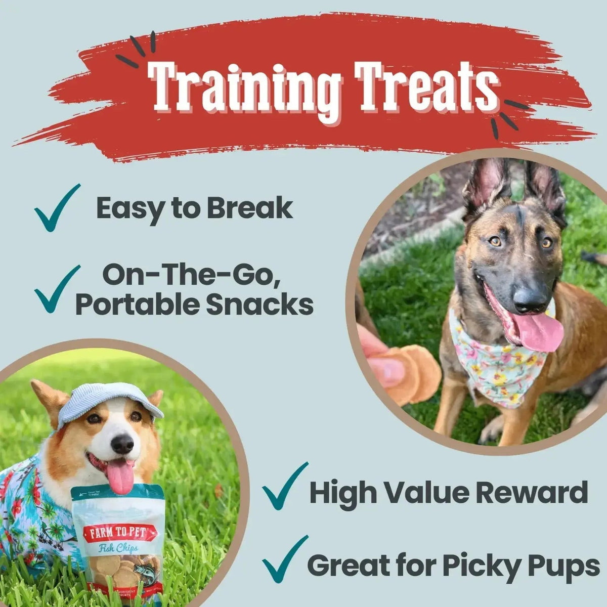 Fish Dog Treats | Wild-Caught Fish Chips for Dogs - Chip