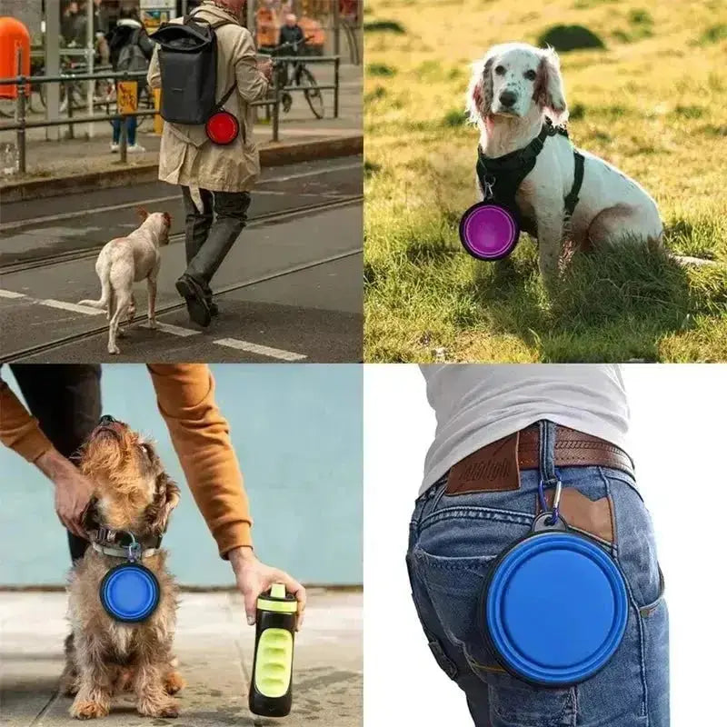 Folding Portable Silicone Dog Feeder Bowl 2 In 1 Pet Dispenser Outdoor Travel Dog Cat with Carabiner Bottle Food Water