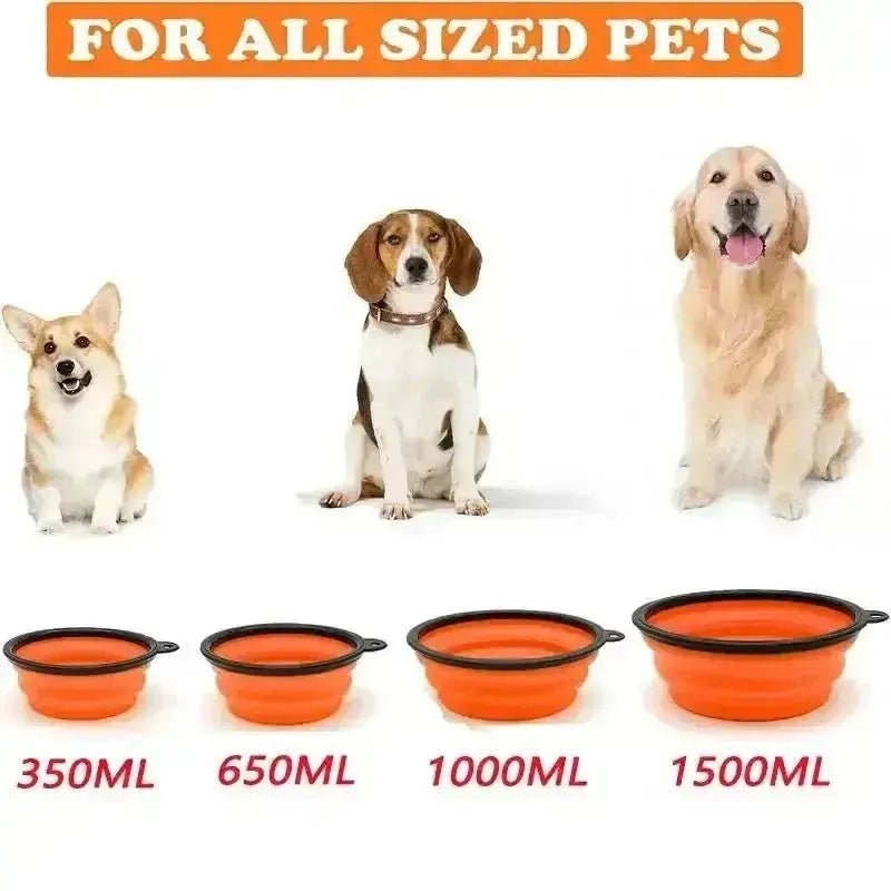 Folding Portable Silicone Dog Feeder Bowl 2 In 1 Pet Dispenser Outdoor Travel Dog Cat with Carabiner Bottle Food Water