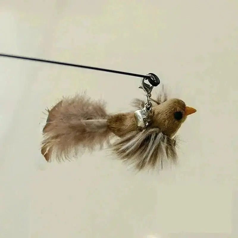 Funny Bird Feather Cat Wand With Bell Accessories Interactive Toys For Cats Kitten Hunting Teaser Exercise Pet Products