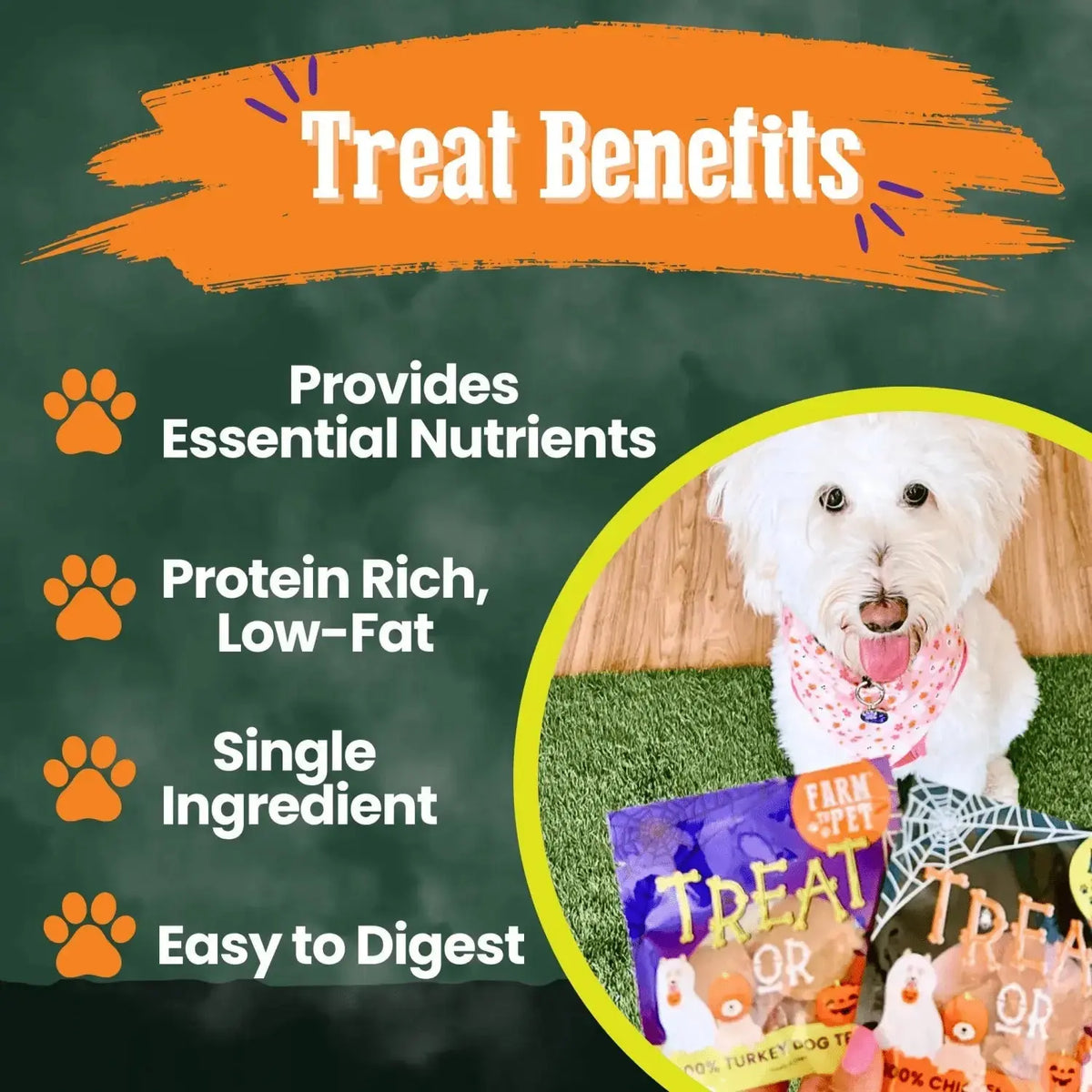 Halloween dog treats Snack Pack Bundle - Snack Pack