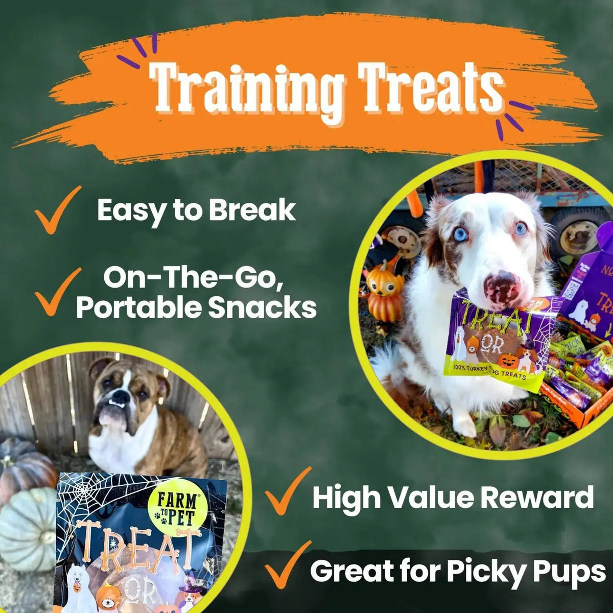 Halloween dog treats Snack Pack Bundle - Snack Pack
