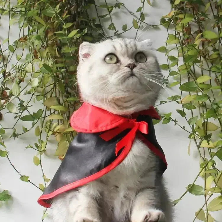 Halloween Warm Pet Cloak - Halloween