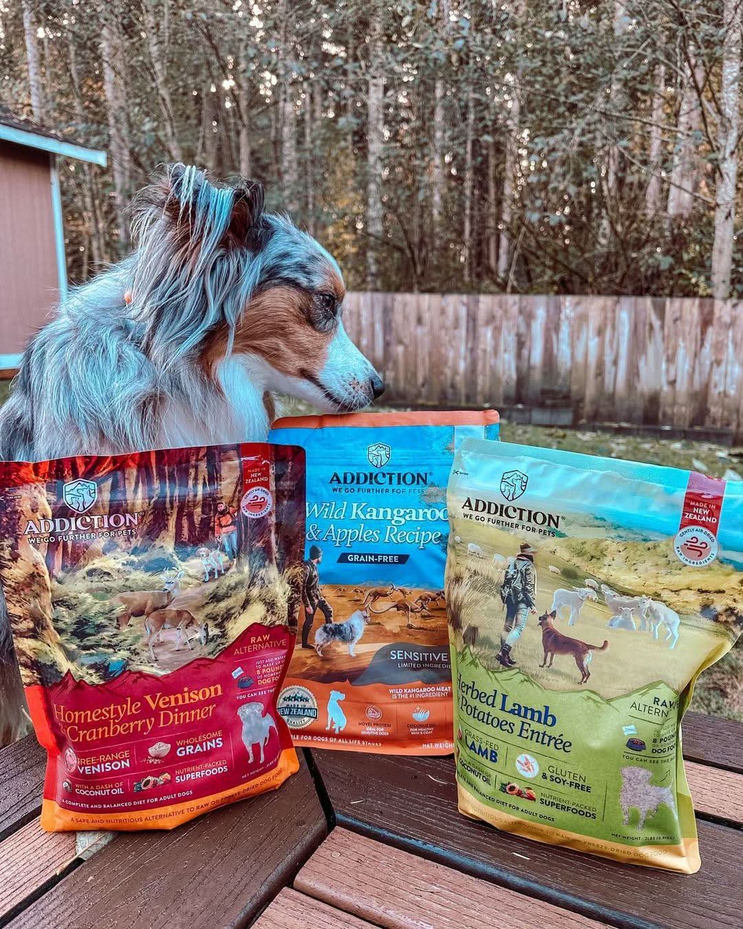 Herbed Lamb & Potatoes Air-Dried Dog Food Addiction Pet Foods USA