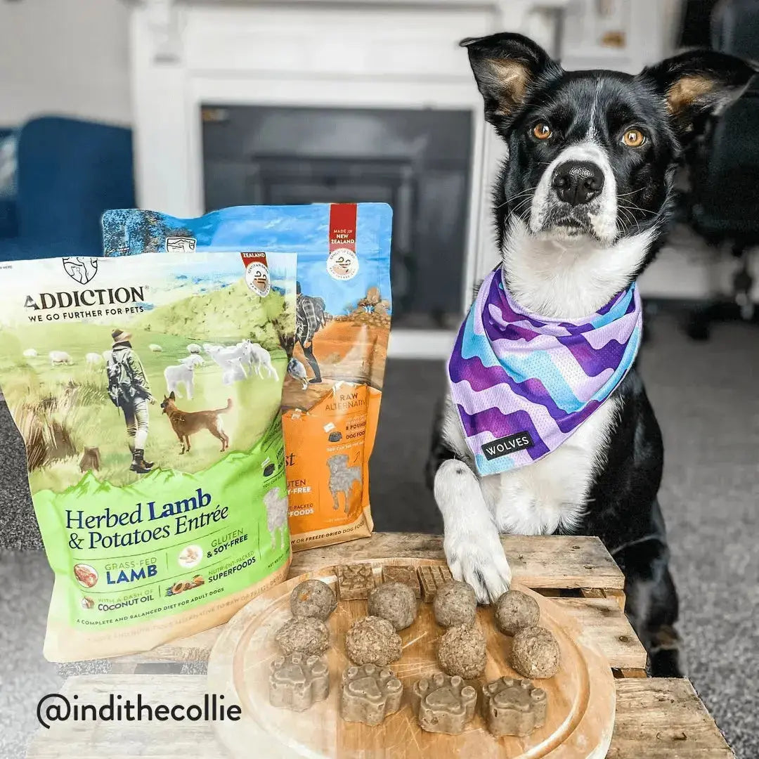 Herbed Lamb & Potatoes Air-Dried Dog Food Addiction Pet Foods USA