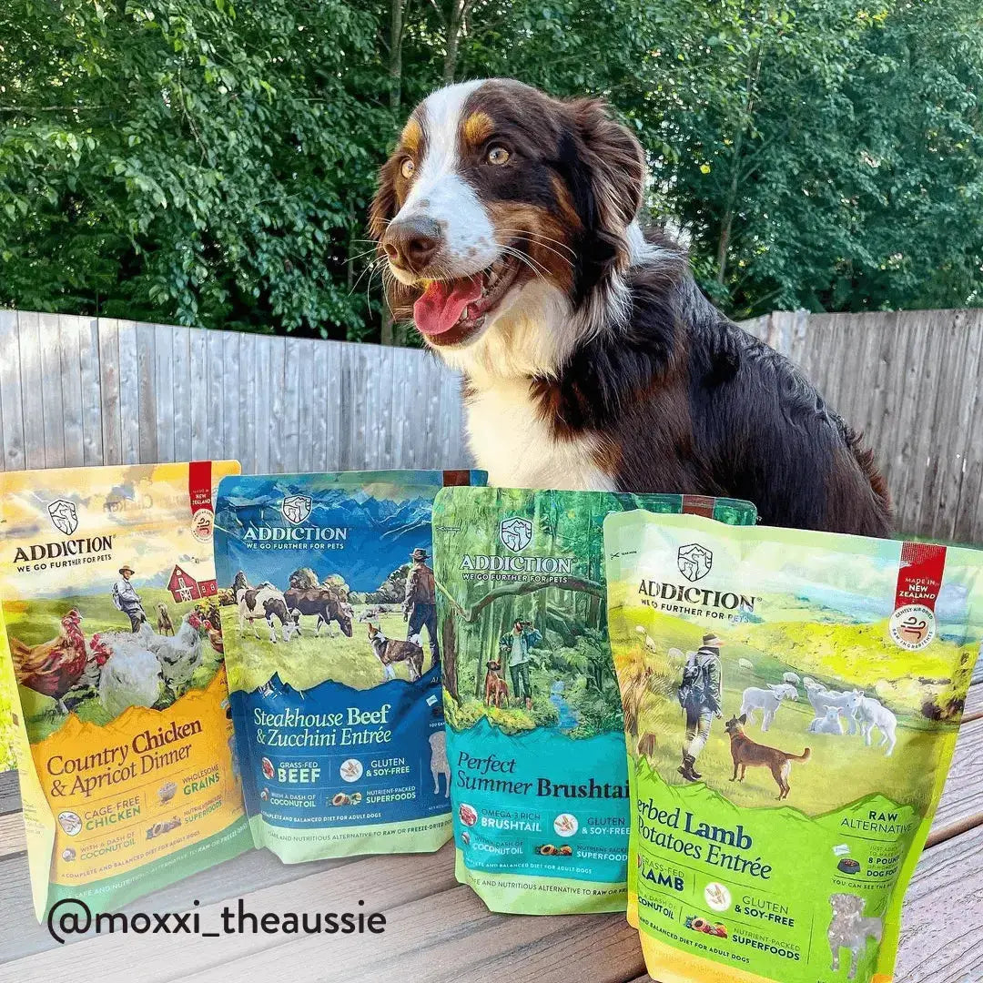 Herbed Lamb & Potatoes Air-Dried Dog Food Addiction Pet Foods USA