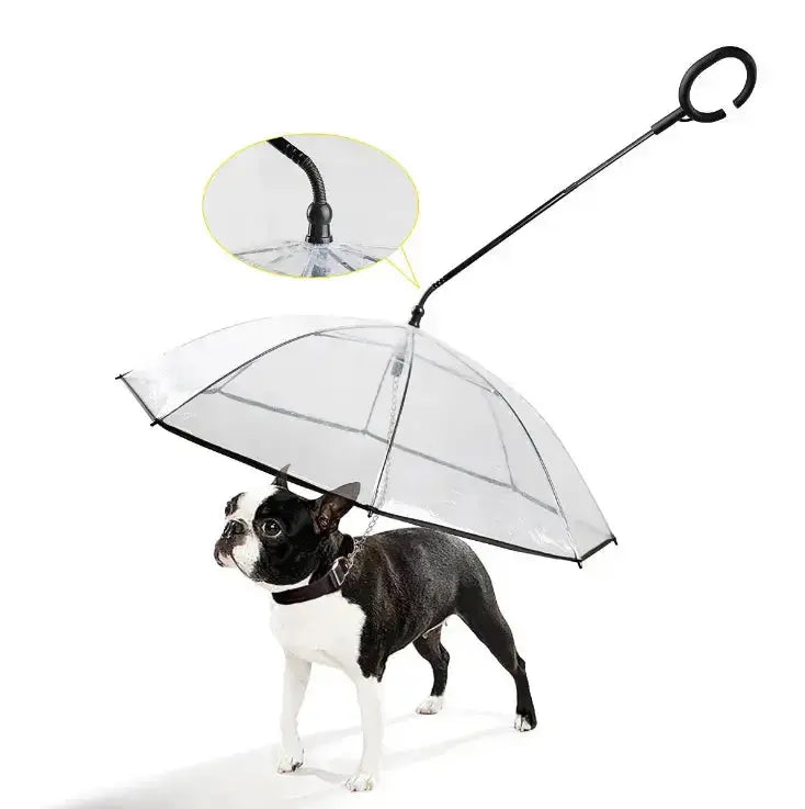 Hot Selling Transparent Pet Supplies Adjustable Pet Umbrella - White - Petcare