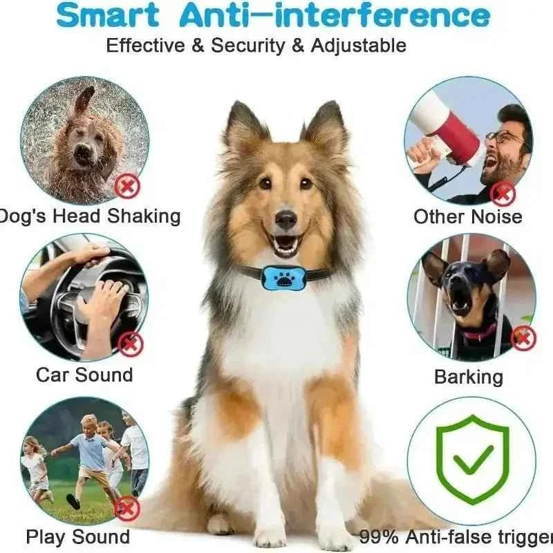 Humane Vibration Bark Collar for Quiet, Stress-Free Training