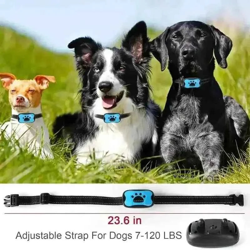 Humane Vibration Bark Collar for Quiet, Stress-Free Training