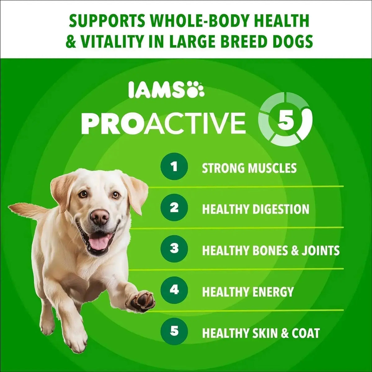 Proactive Health Large Breed Dry Dog Food, Chicken, 30 Lb