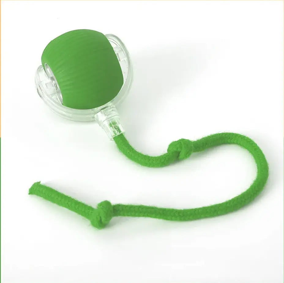 Interactive Self-Rolling Cat Toy - Fun & Stress Relief for Pets True Pet Market