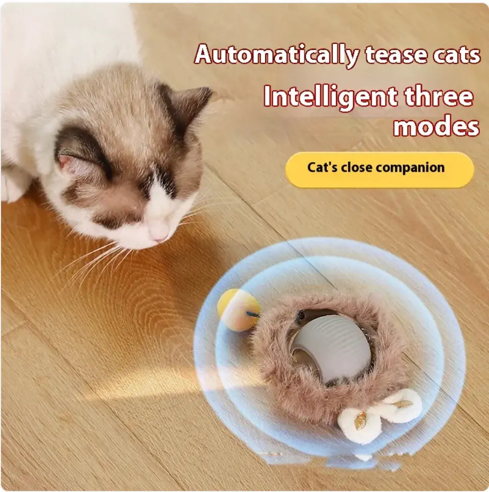 Interactive Self-Rolling Cat Toy - Fun & Stress Relief for Pets True Pet Market