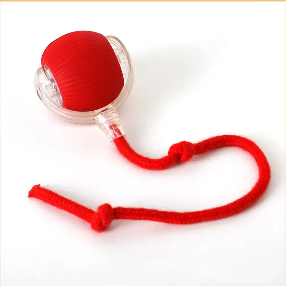 Interactive Self-Rolling Cat Toy - Fun & Stress Relief for Pets True Pet Market