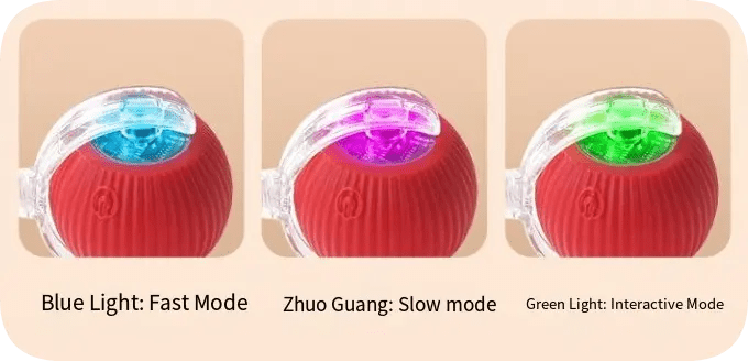 Interactive Self-Rolling Cat Toy - Fun & Stress Relief for Pets True Pet Market