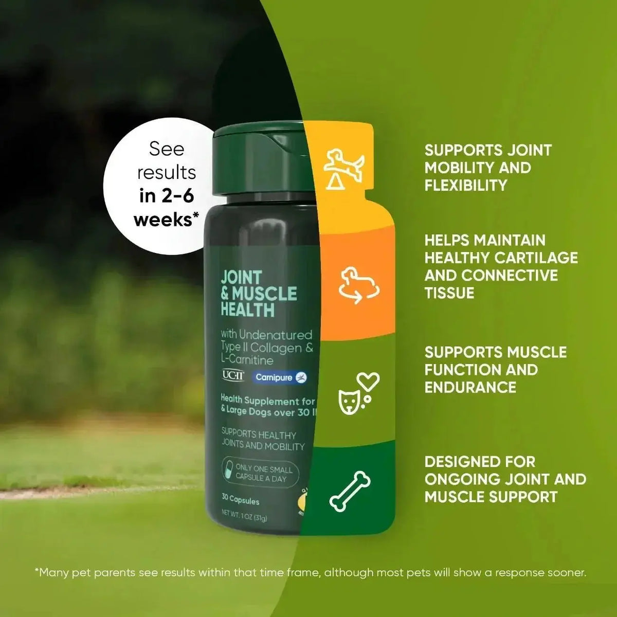 Joint & Muscle Health Rooted Owl Pet Supplements