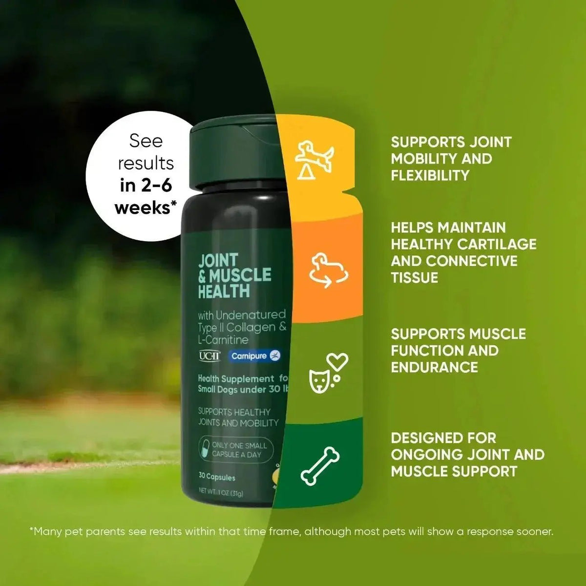 Joint & Muscle Health Rooted Owl Pet Supplements