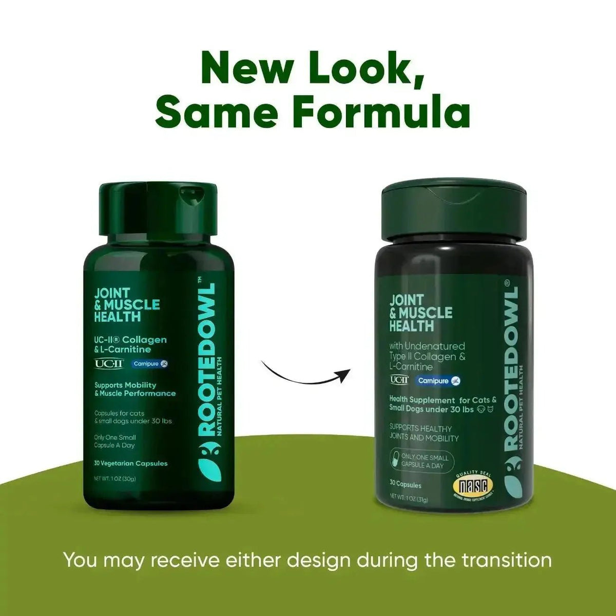 Joint & Muscle Health Rooted Owl Pet Supplements