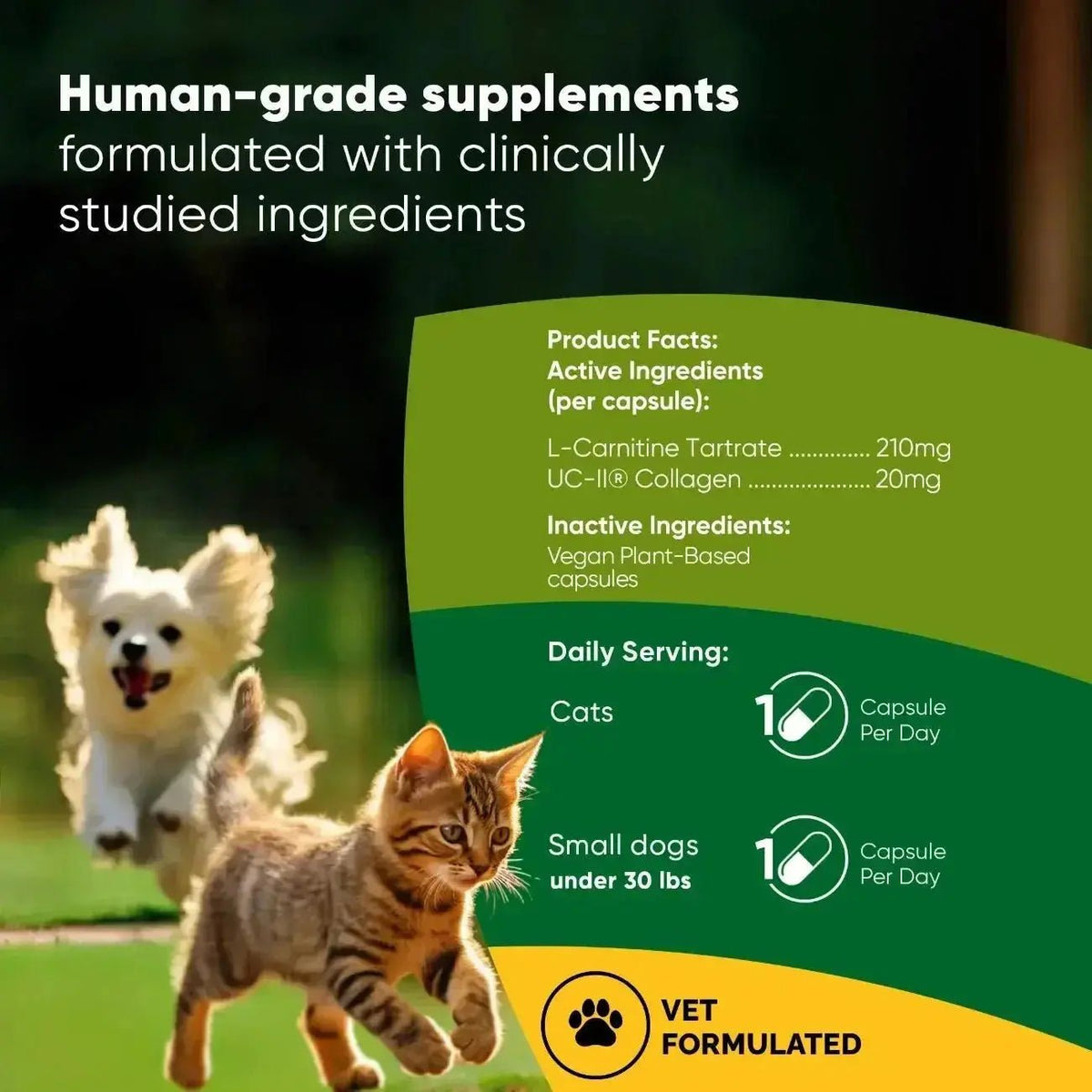 Joint & Muscle Health Rooted Owl Pet Supplements