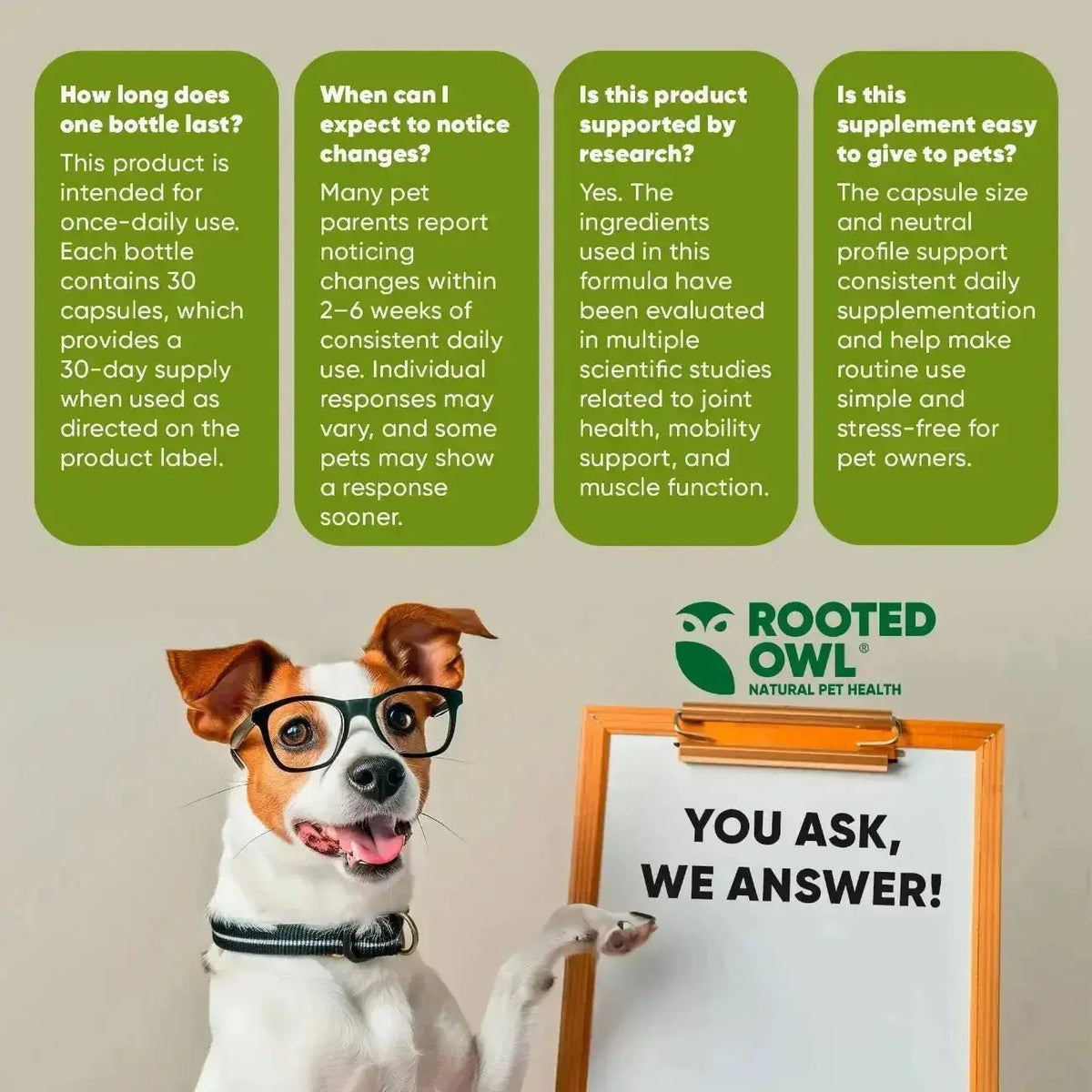 Joint & Muscle Health Rooted Owl Pet Supplements
