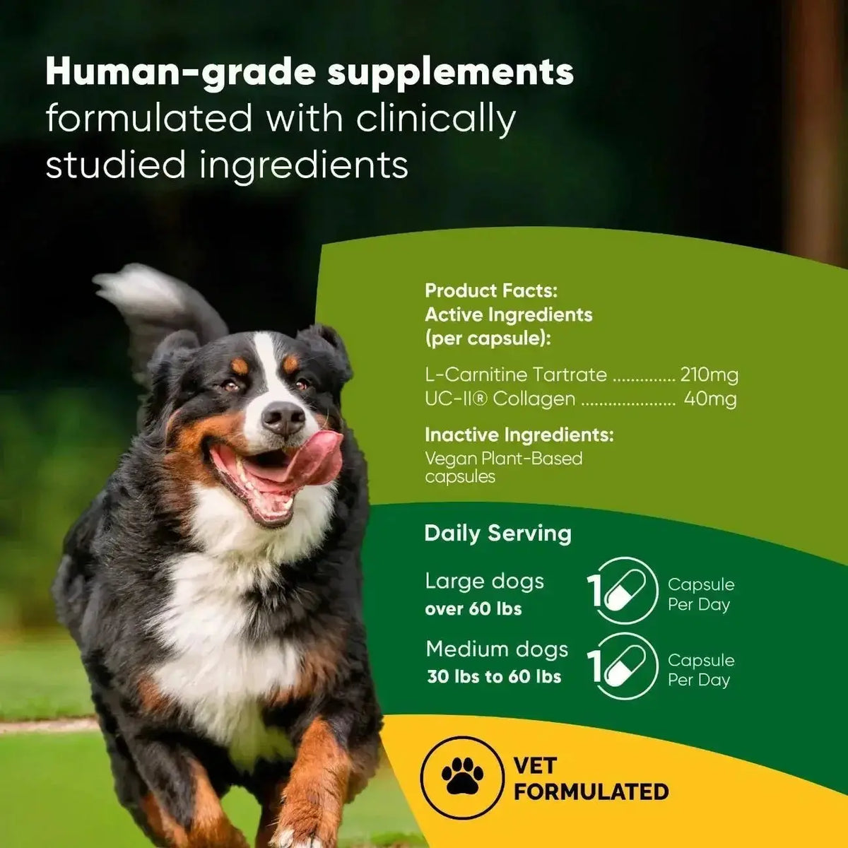 Joint & Muscle Health Rooted Owl Pet Supplements