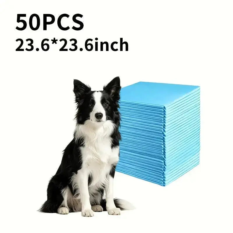 39ce6828-79c4-44ab-954f-6aacadf484a0