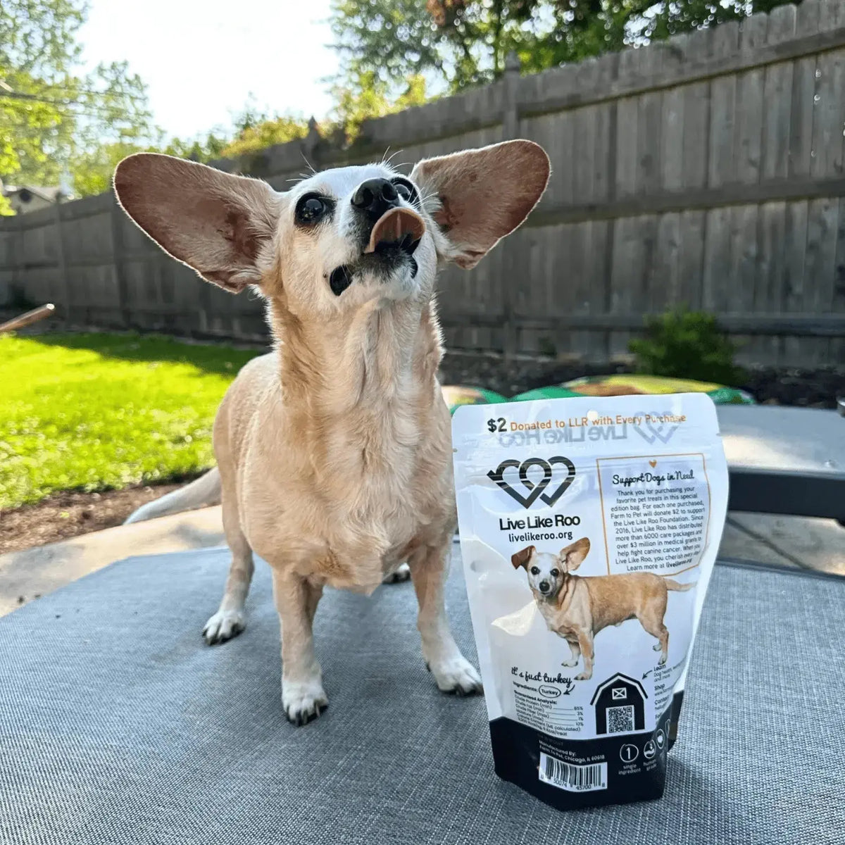 Live Like Roo Turkey Dog Treats | Dog Treats That Give Back - Chip