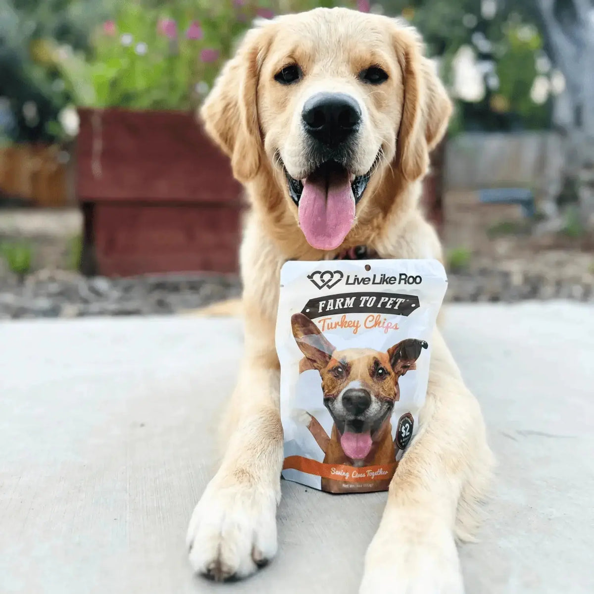 Live Like Roo Turkey Dog Treats | Dog Treats That Give Back - Chip