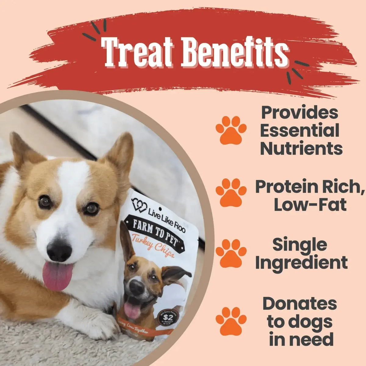 Live Like Roo Turkey Dog Treats | Dog Treats That Give Back - Chip