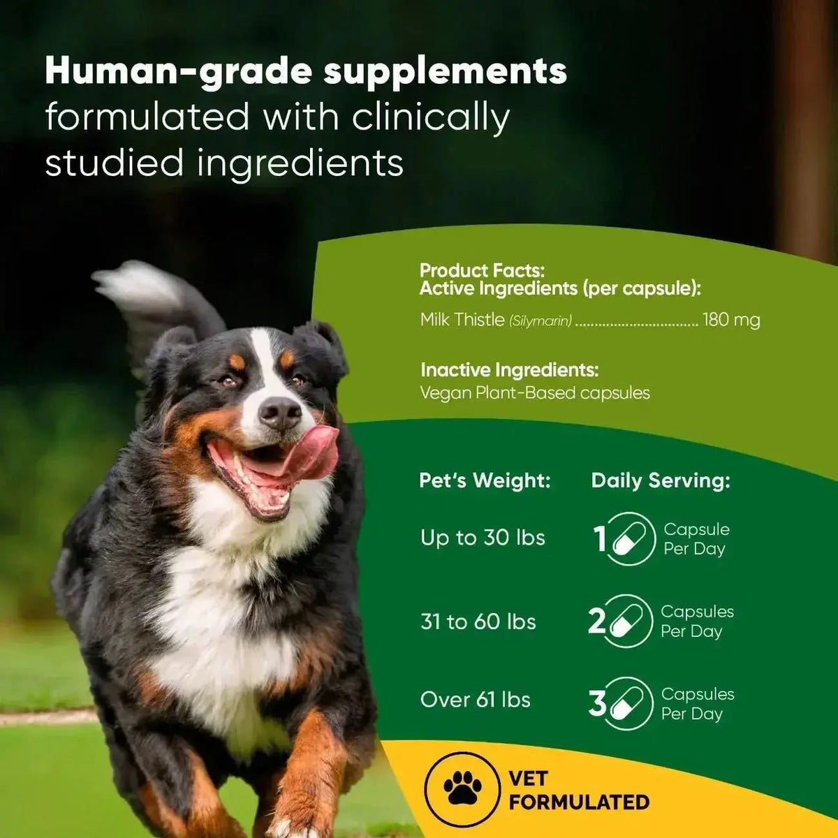 Liver Support Rooted Owl Pet Supplements