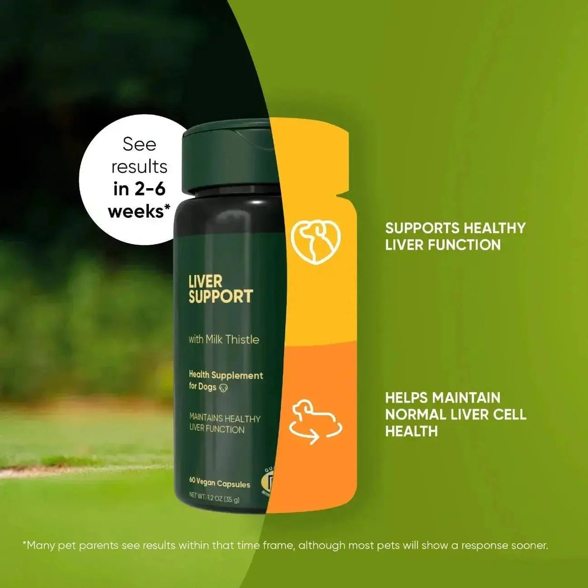 Liver Support Rooted Owl Pet Supplements