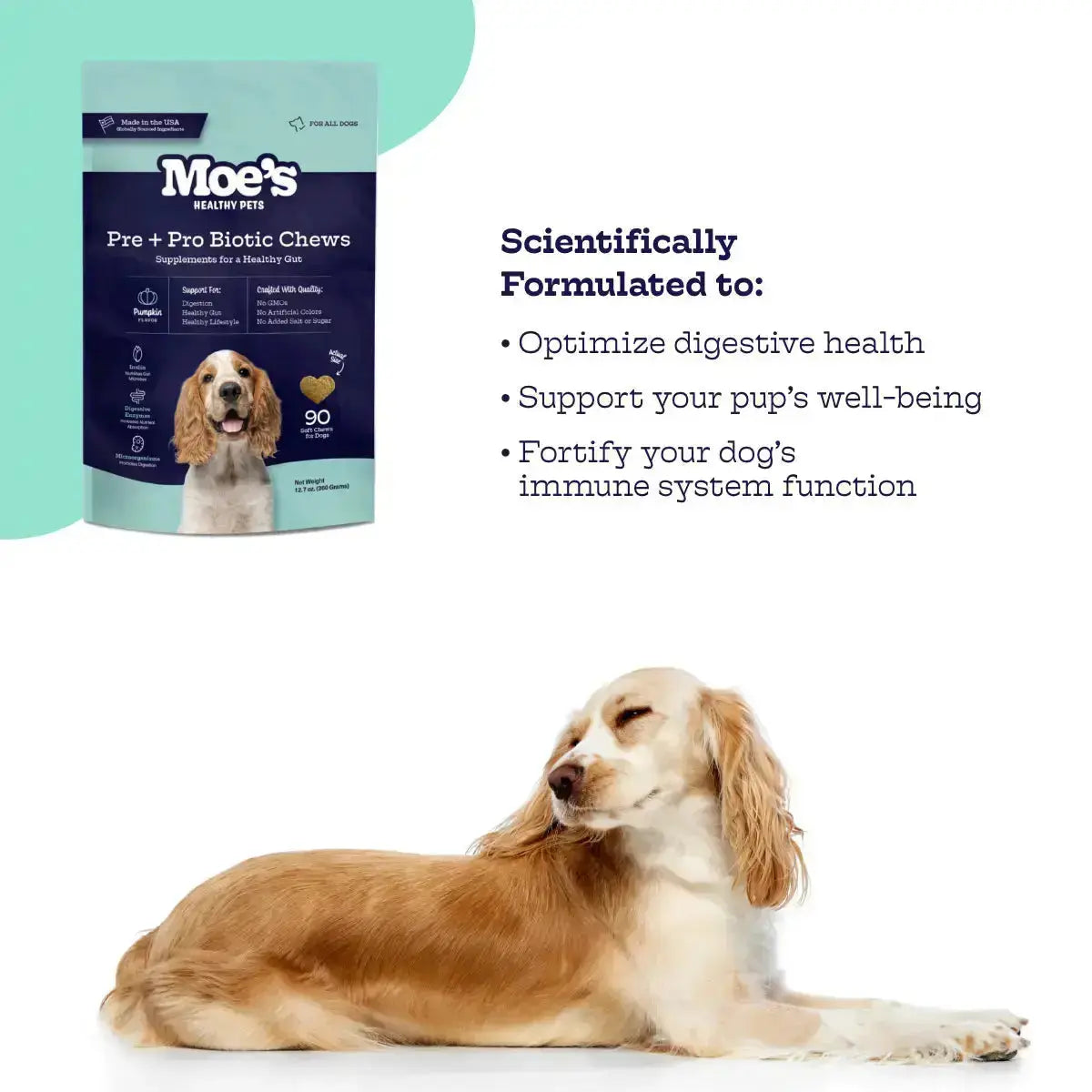 Pre + Pro Biotic Chews - True Pet Market