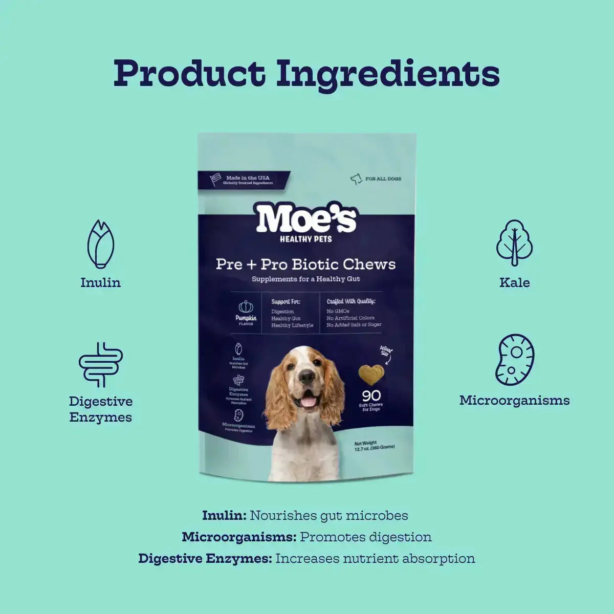 Pre + Pro Biotic Chews - True Pet Market