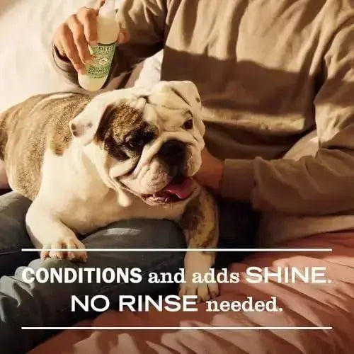 MRS. MEYER’S Clean Day 3 in 1 Dog Shampoo - Dogs