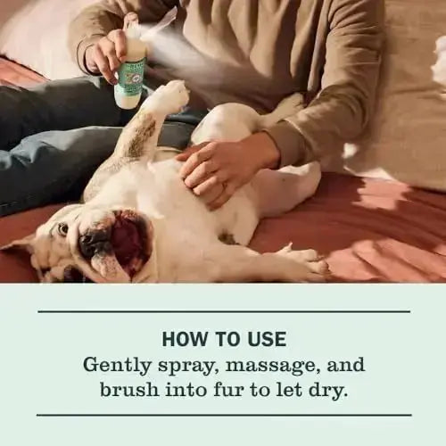 MRS. MEYER’S Clean Day 3 in 1 Dog Shampoo - Dogs