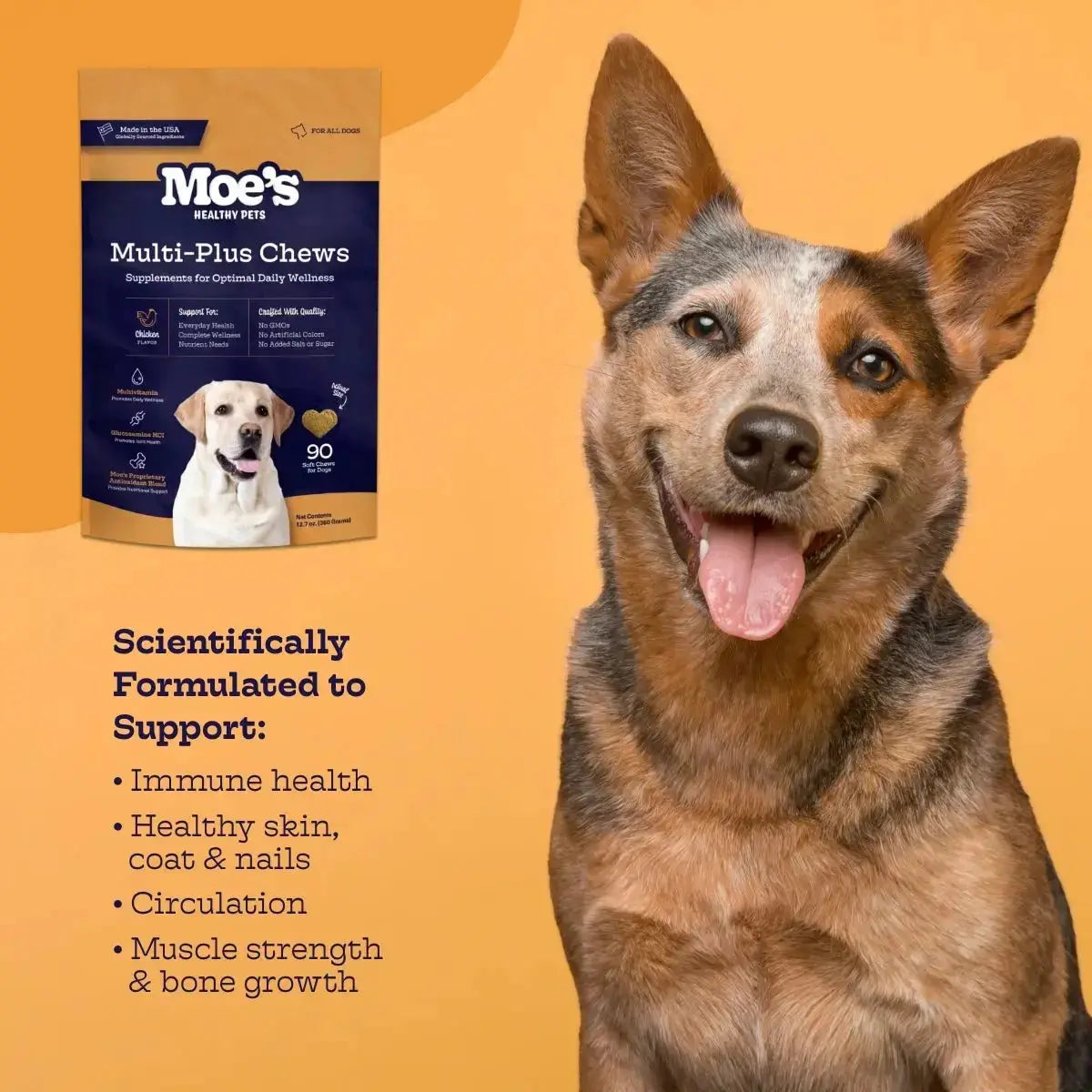 Multi-Plus Chews - True Pet Market
