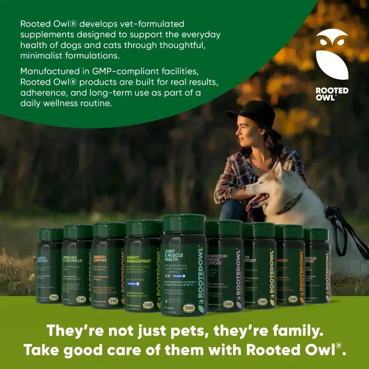 Mushroom Immune Support Rooted Owl Pet Supplements