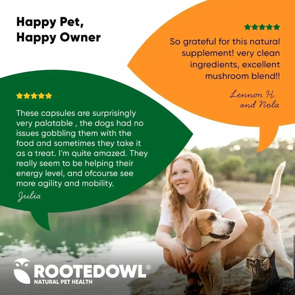 Mushroom Immune Support Rooted Owl Pet Supplements