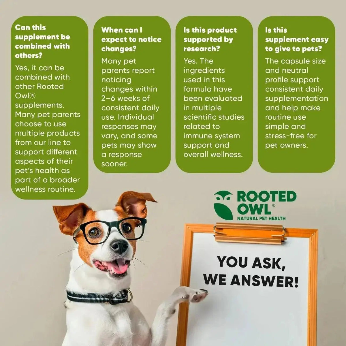 Mushroom Immune Support Rooted Owl Pet Supplements