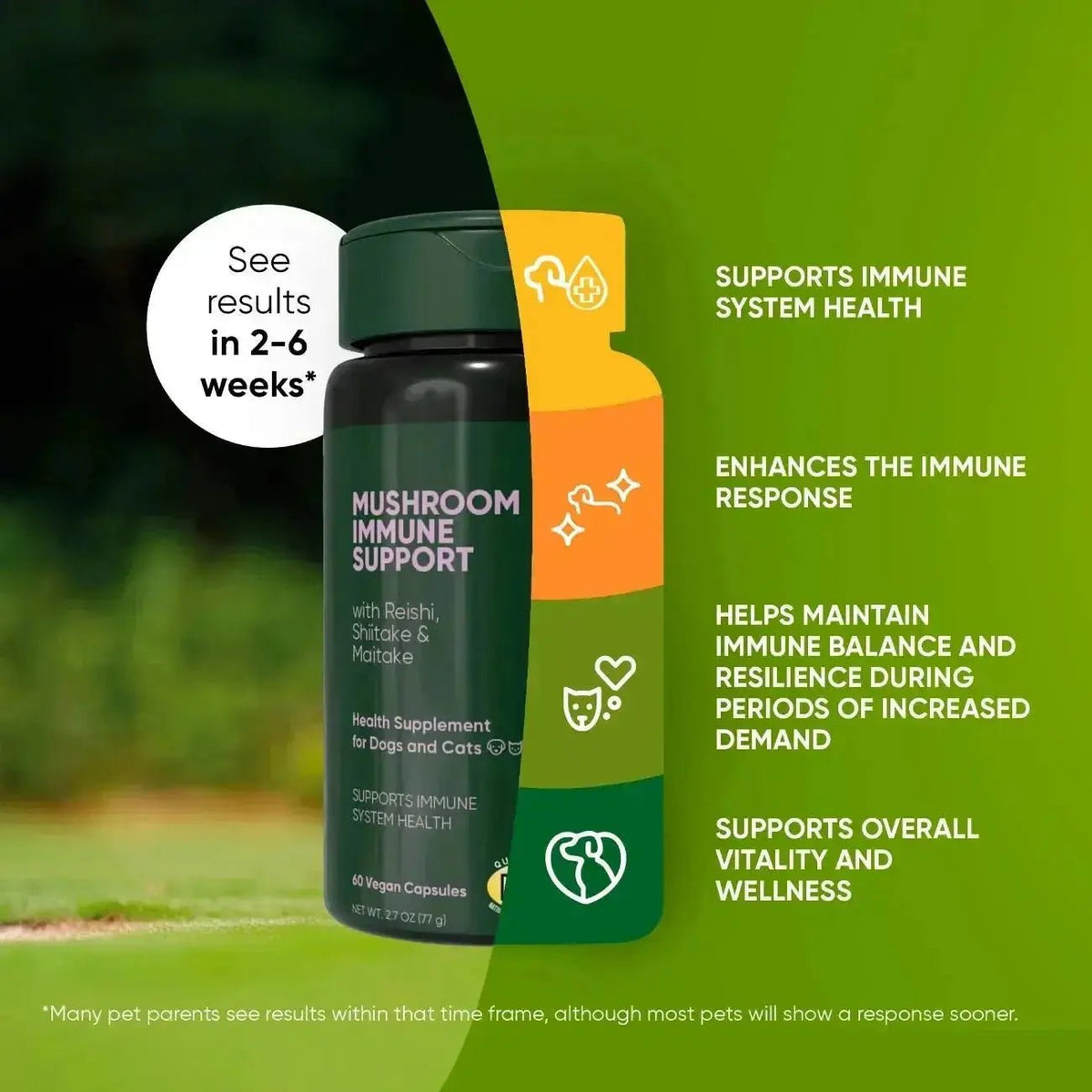 Mushroom Immune Support Rooted Owl Pet Supplements