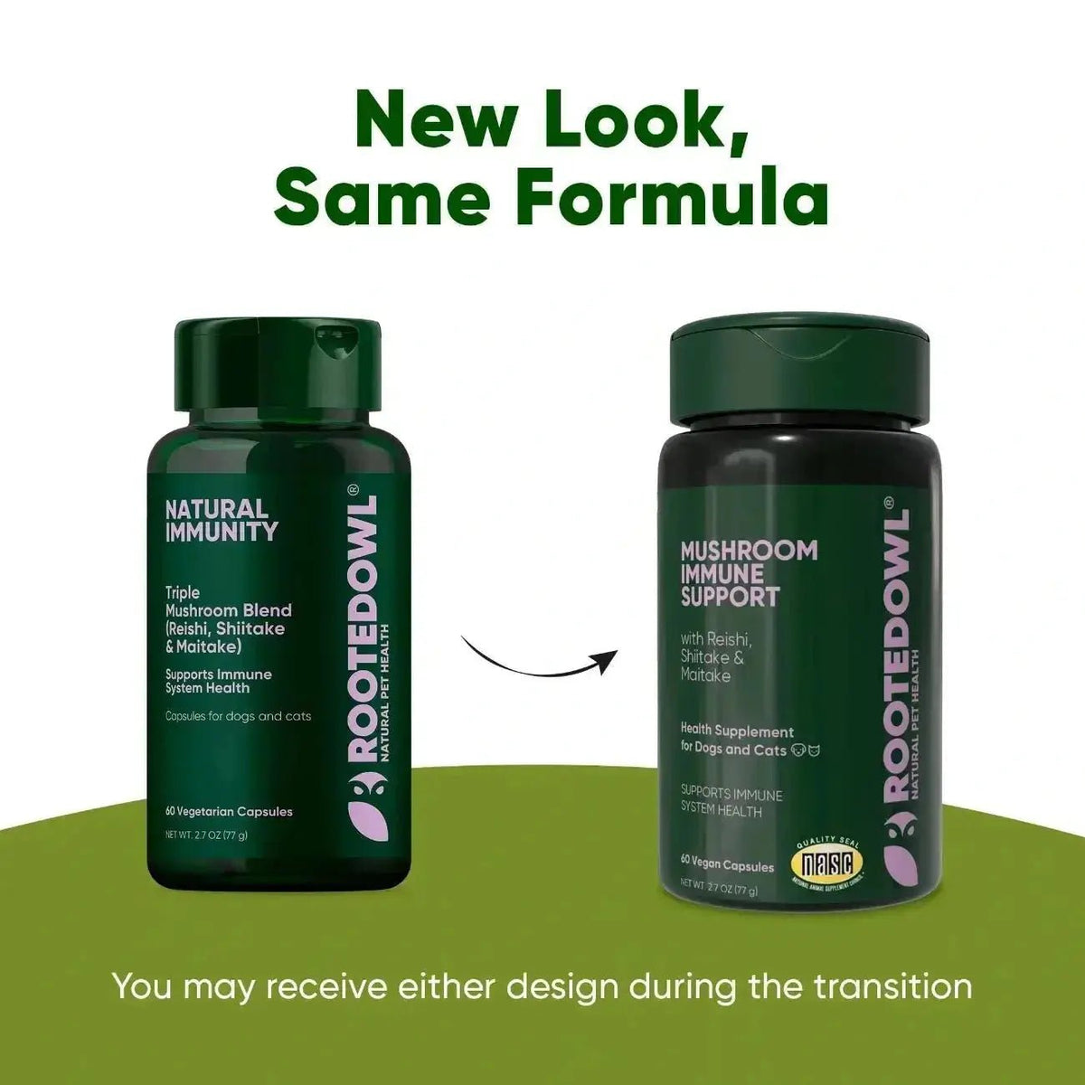Mushroom Immune Support Rooted Owl Pet Supplements