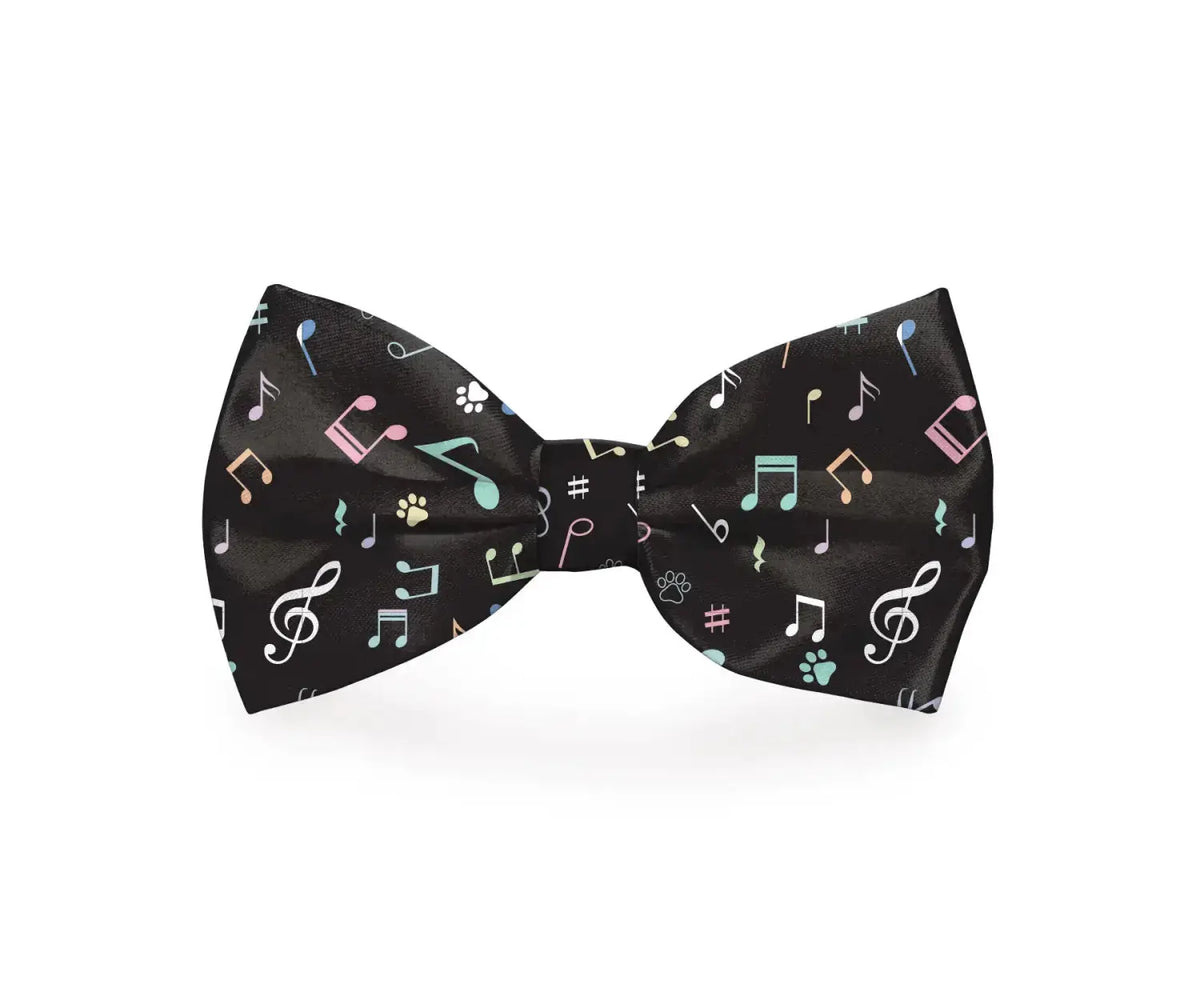 Music Notes Black Dog Bow Tie - Leashes Collars & Petwear