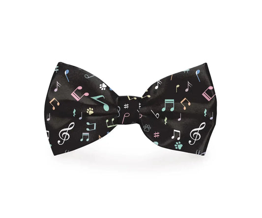 Music Notes Black Dog Bow Tie - Leashes Collars & Petwear