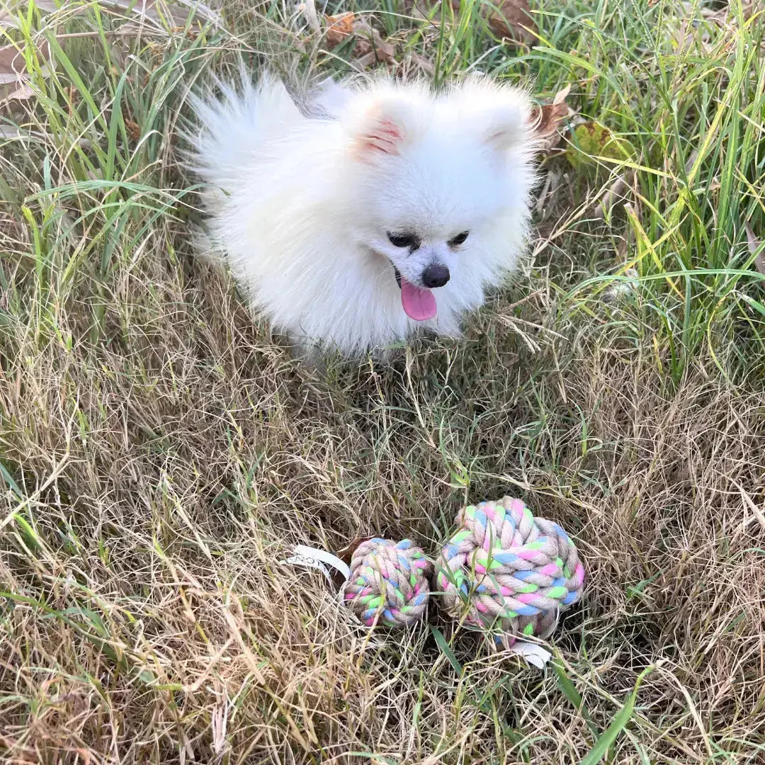 Natural Hemp Rope Ball | Recycled Cotton - Rope Chew Toy