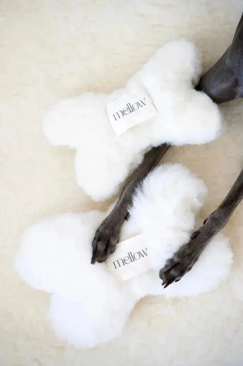 Natural wool dog toy - Bone - White - Dog Toy