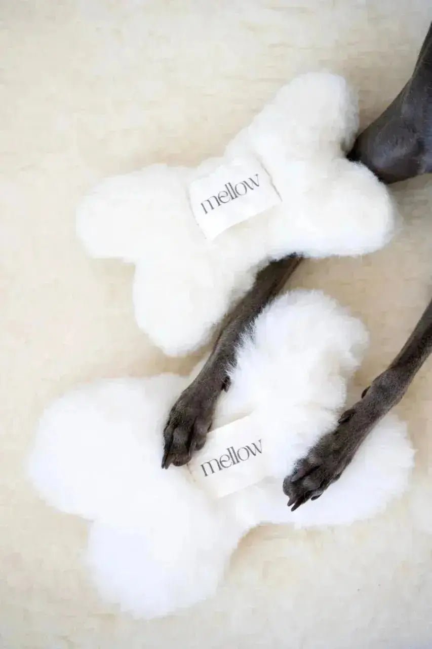 Natural wool dog toy - Bone - White - Dog Toy