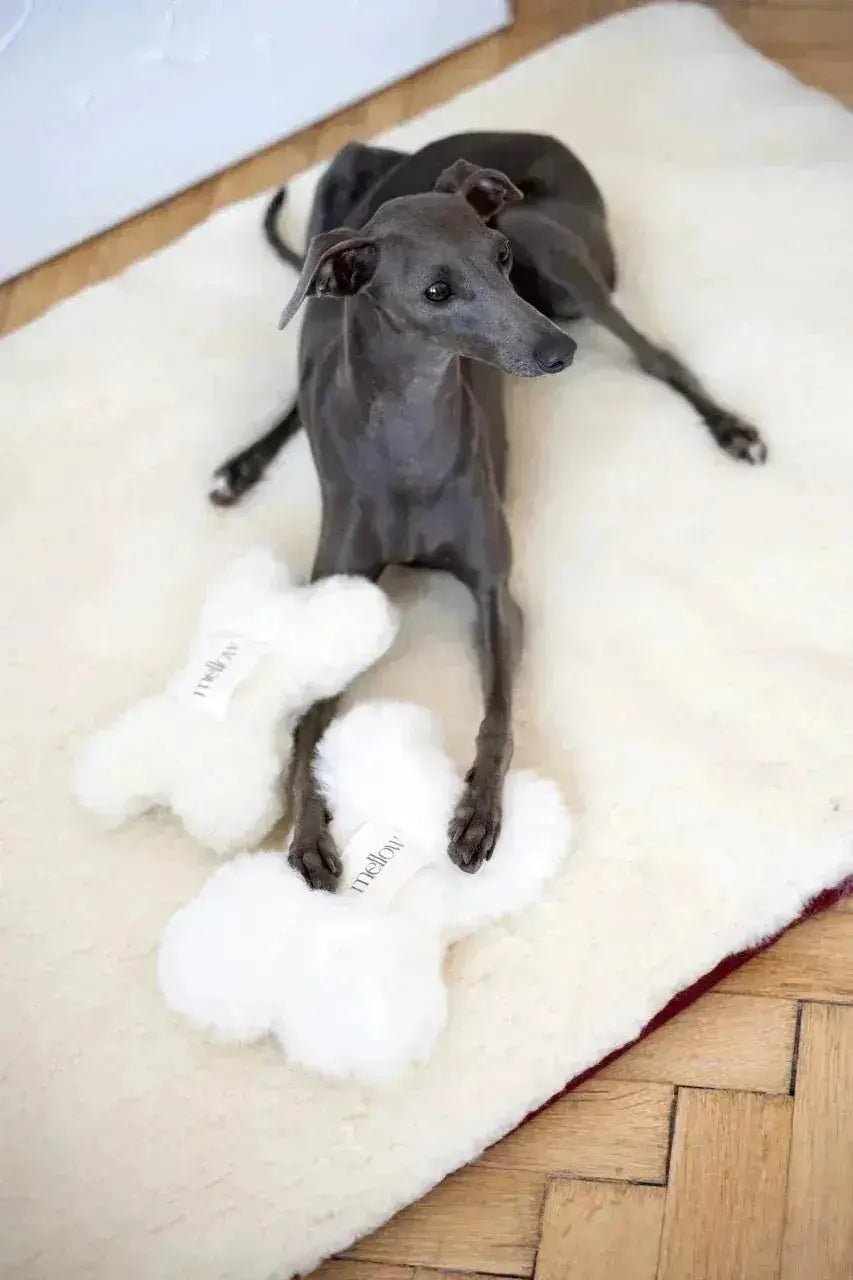 Natural wool dog toy - Bone - White - Dog Toy