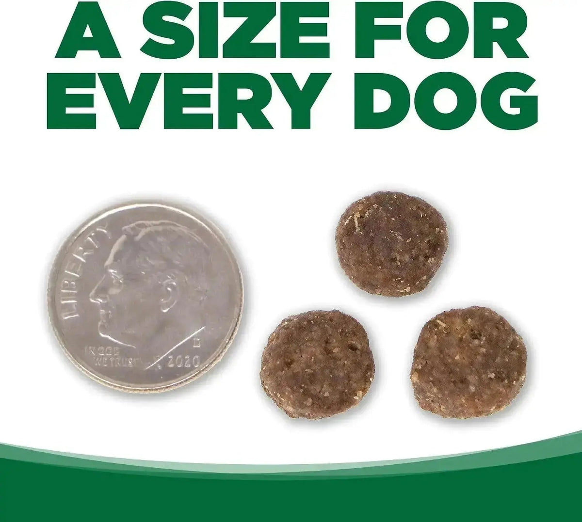 Dry Dog Food, Turkey and Rice, 4LB