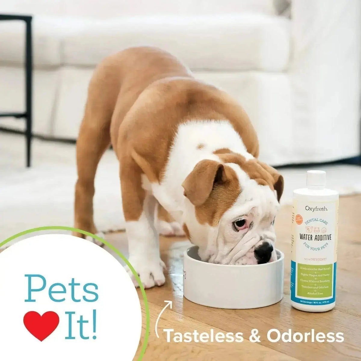 Oxyfresh Premium Pet Dental Care Solution Pet Water Additive: Best Way to Eliminate Bad Dog Breath and Cat Bad Breath