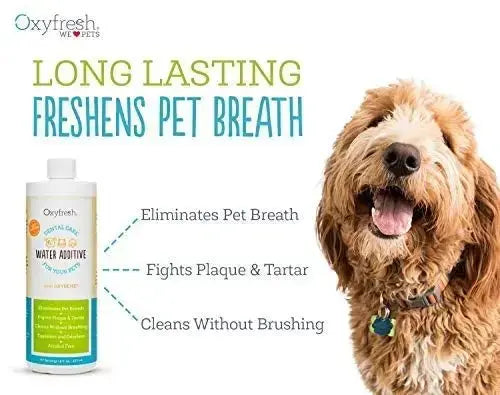 Oxyfresh Premium Pet Dental Care Solution Pet Water Additive: Best Way to Eliminate Bad Dog Breath and Cat Bad Breath